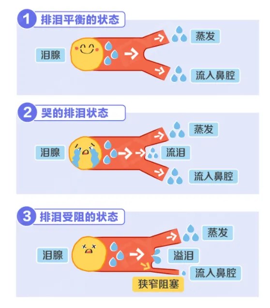 圖片.png