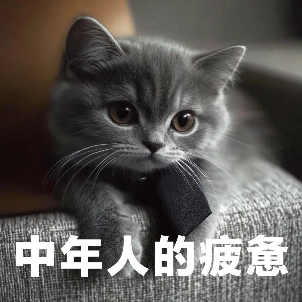 圖片.png